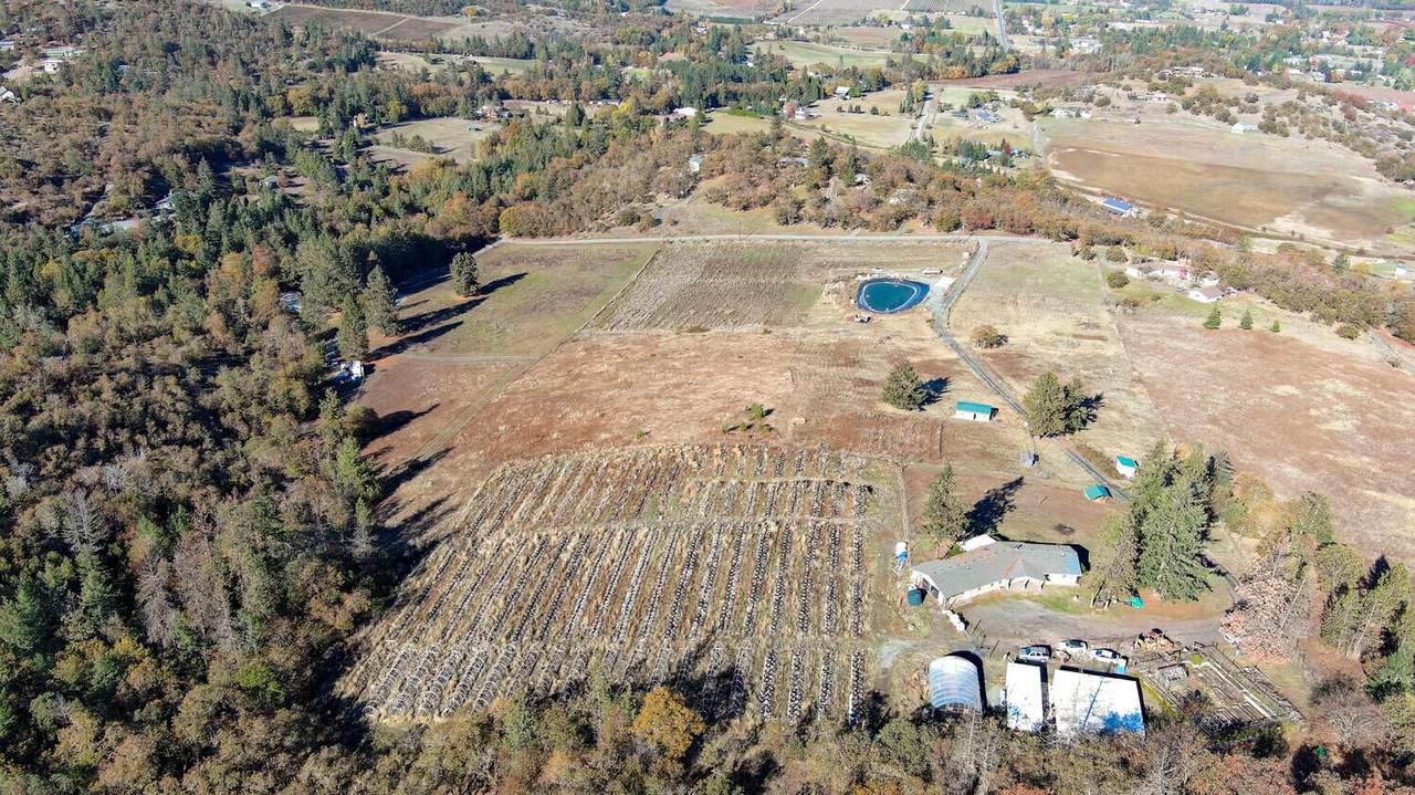 3053 Deer Trail Lane - Photo 1