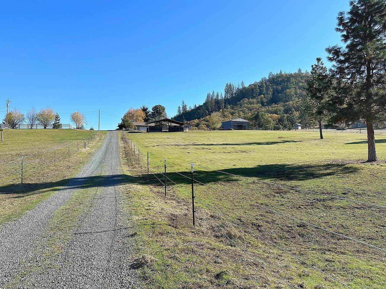 5388 Kane Creek Road - Photo 1