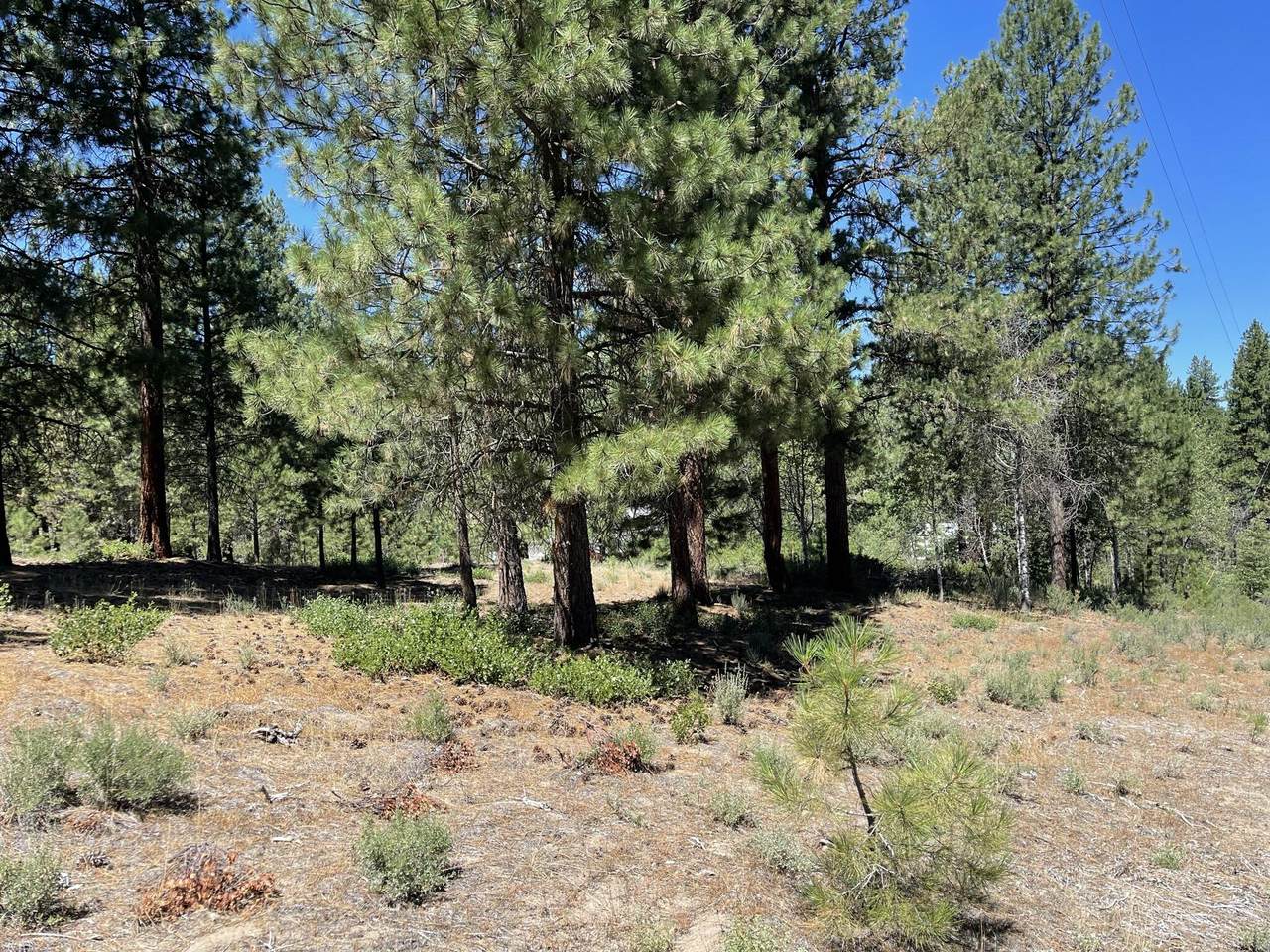 Incline Drive - Photo 1