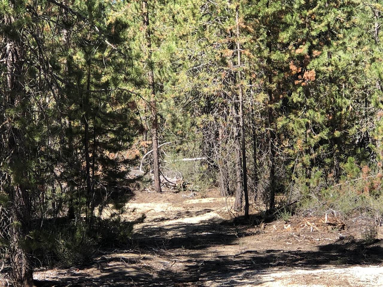 Kamloop Lane - Photo 1
