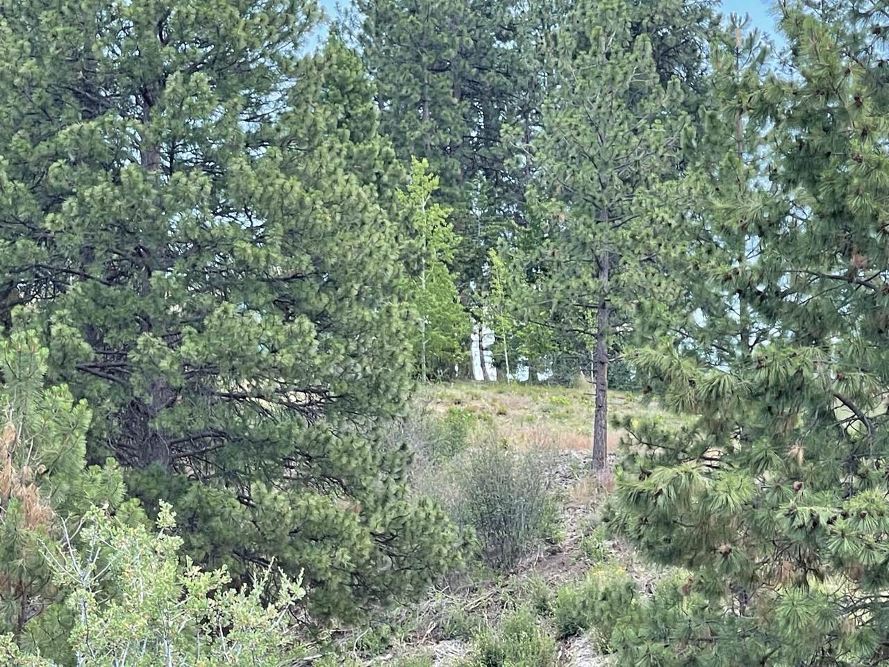 S. Pine Hollow - Photo 1