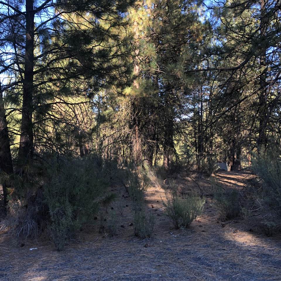 Stillwater Way - Photo 1