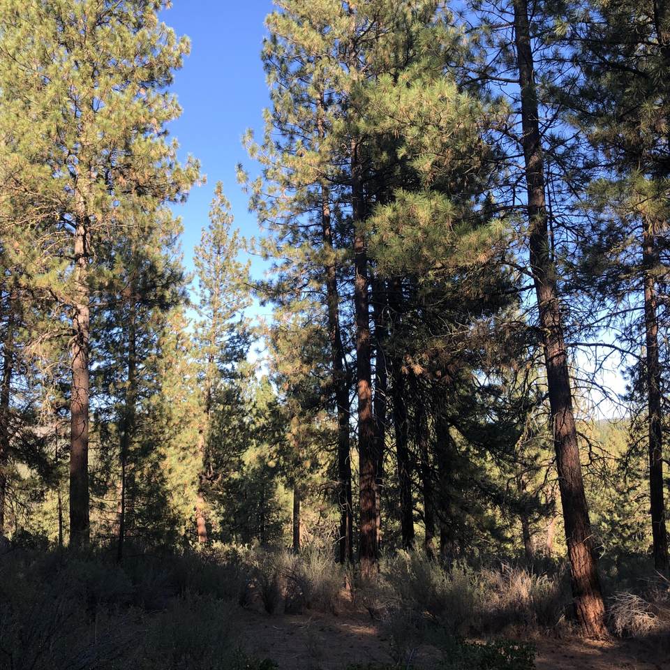 Stillwater Way - Photo 1