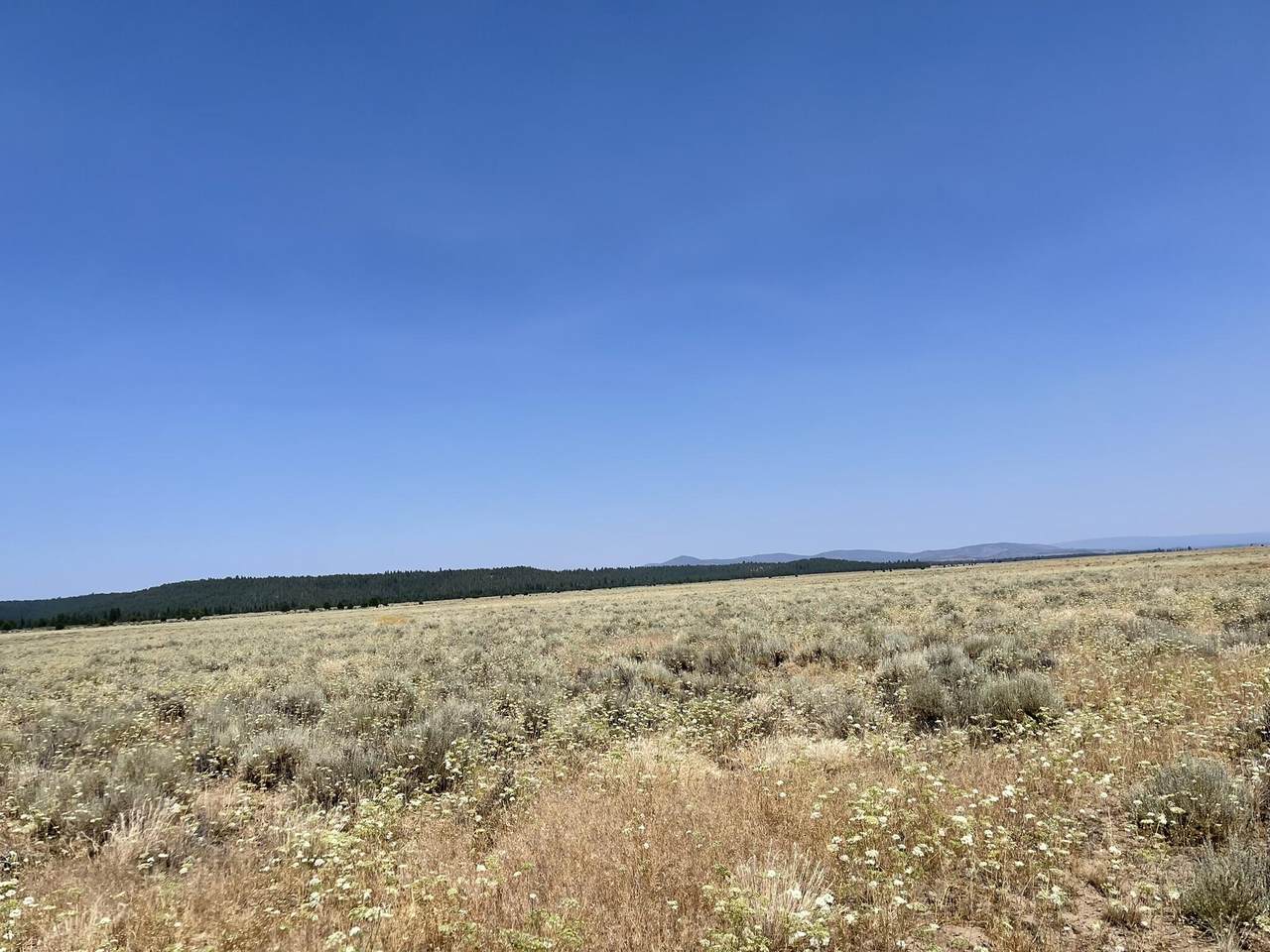 Off Tableland Road - Photo 1