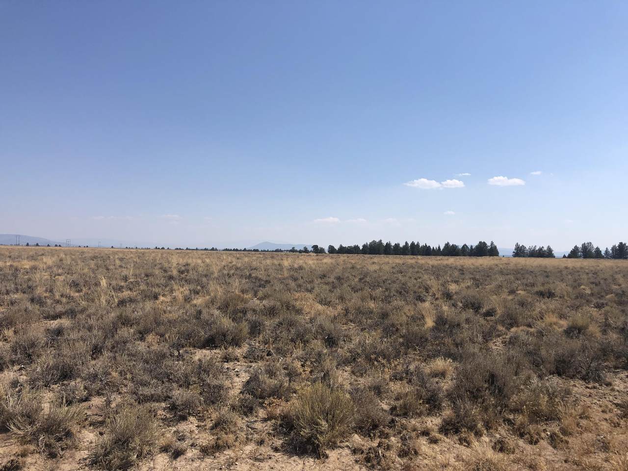 Rim Drive - Photo 1