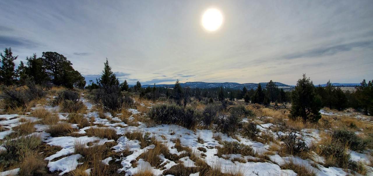 TBD Terrible Trail - Photo 1