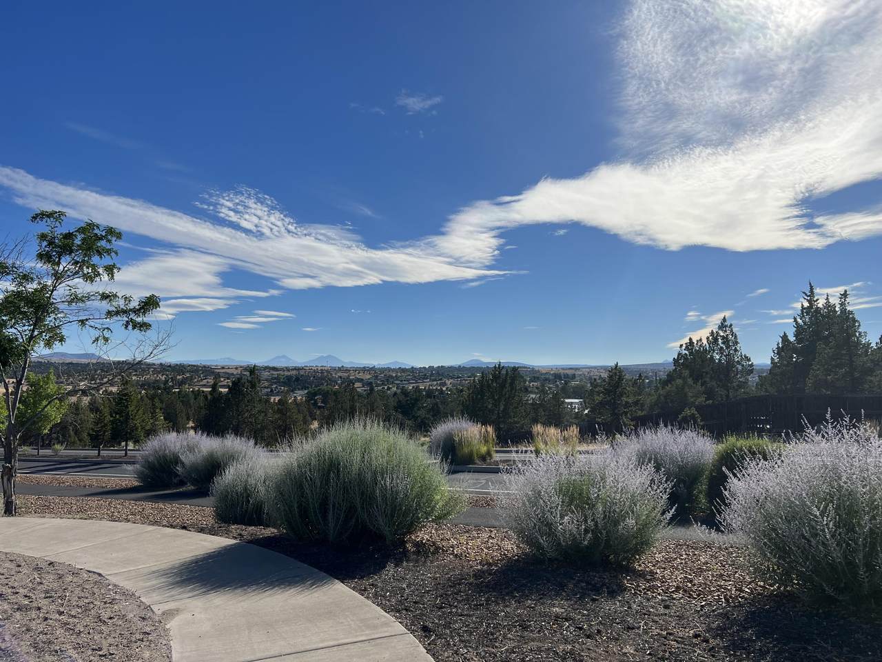 Lot 10 Daisy Court - Photo 1