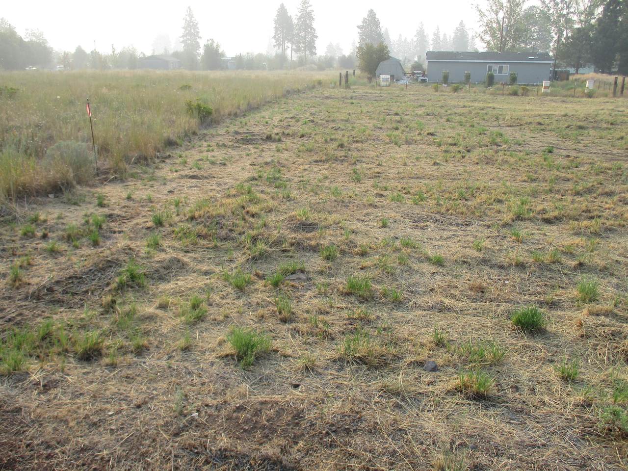 Pleasant View Road - Photo 1