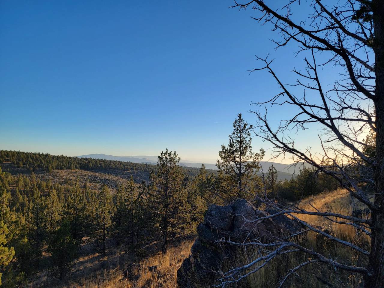 TL608 Simpson Road - Photo 1