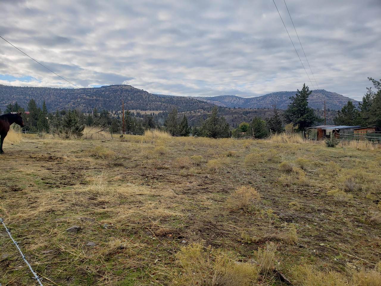 Tl 714 Undetermined City - Photo 1
