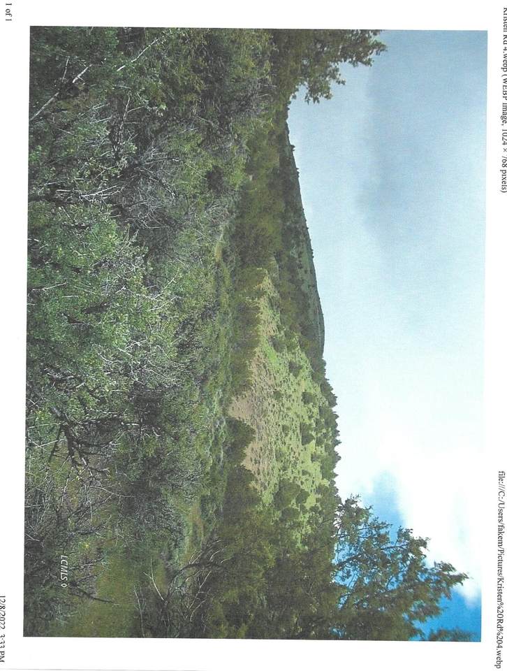 Kristin Road - Photo 1