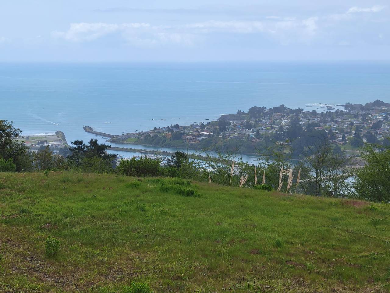 98014 Crown Terrace Road - Photo 1