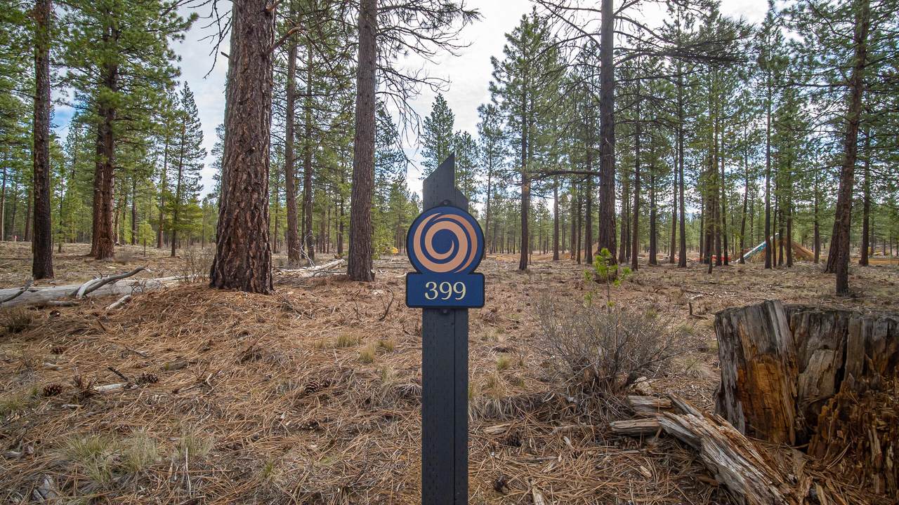 56307-339 Mirror Rock Loop - Photo 1