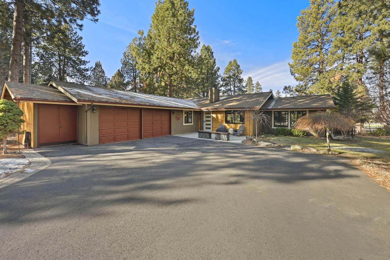 20336 Donkey Sled Rd Road - Photo 1