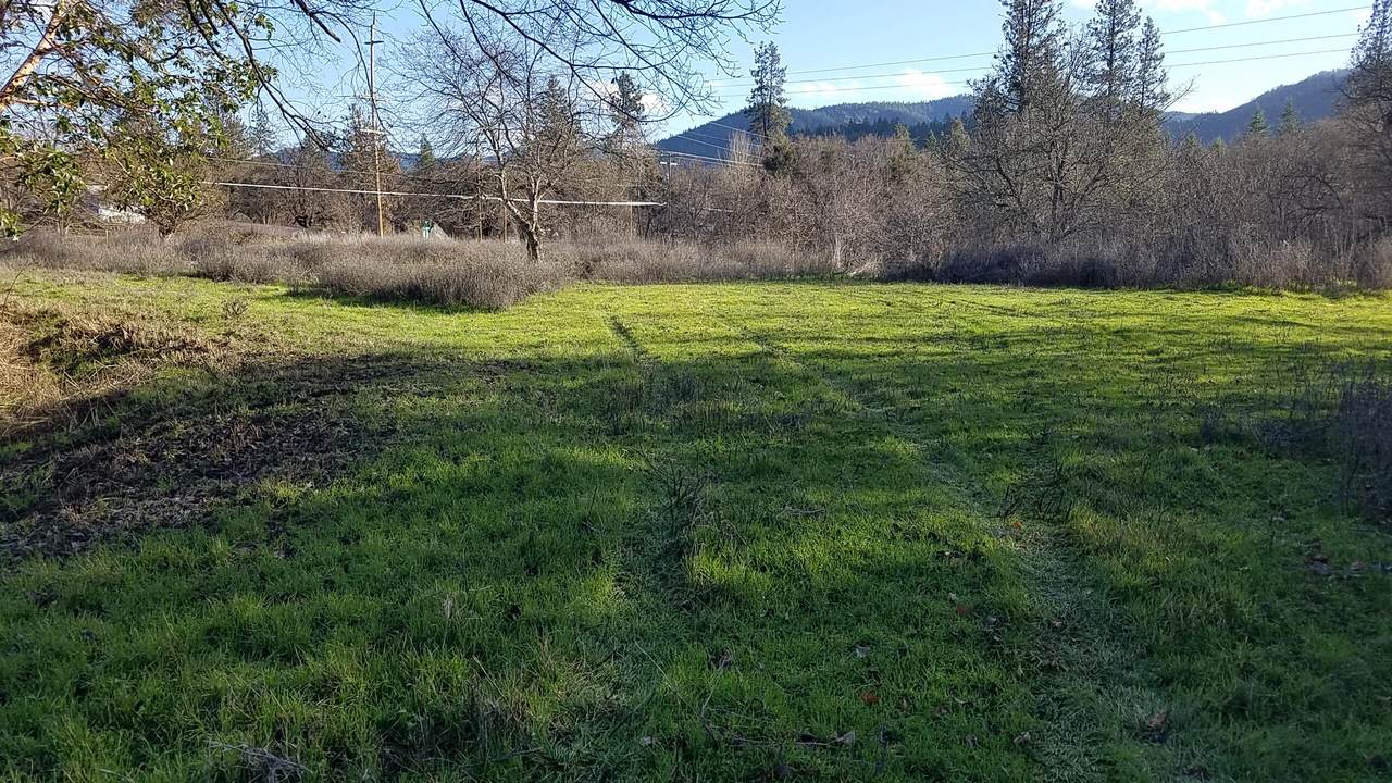 526 Jones Creek Road - Photo 1