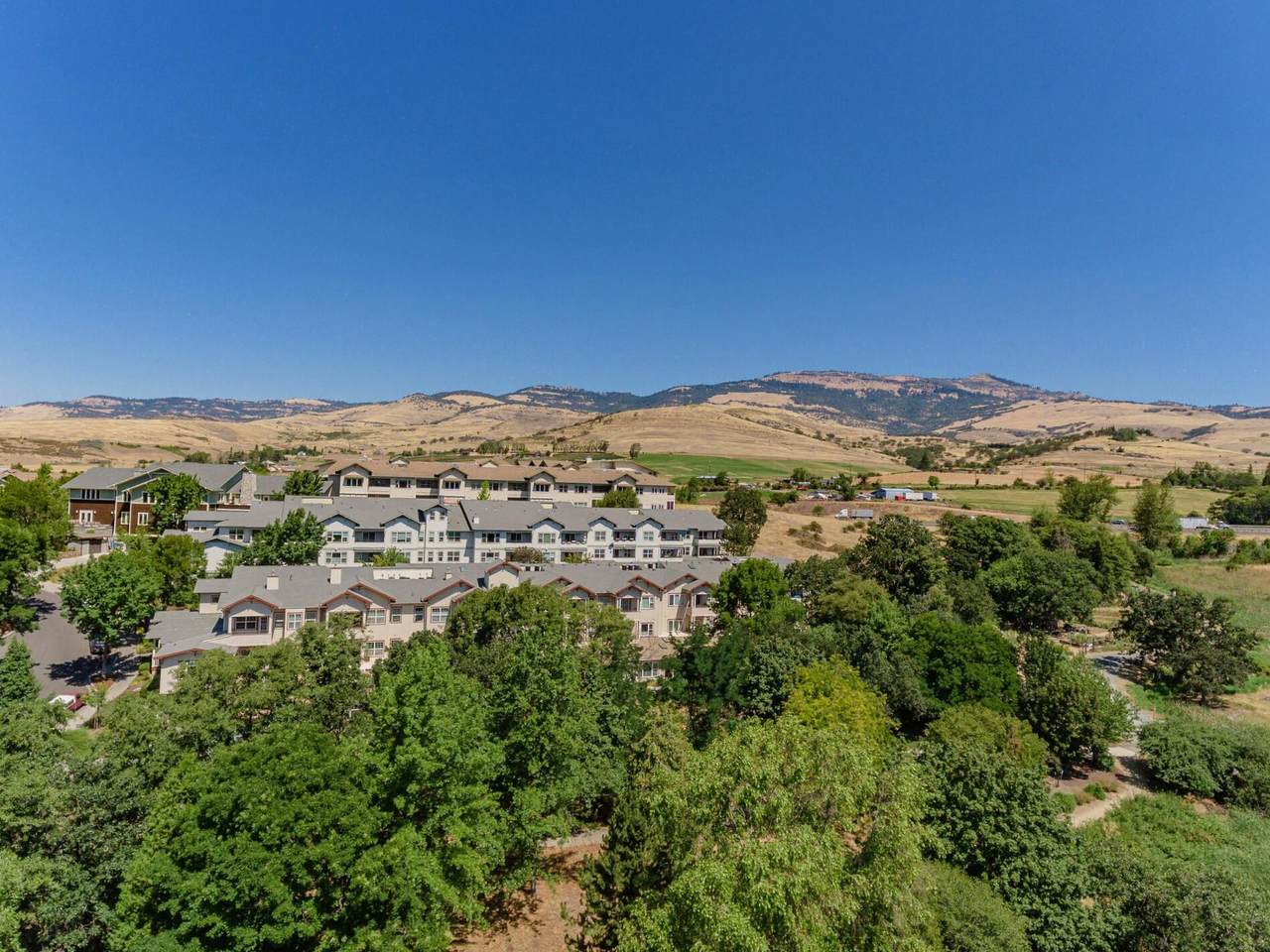 971 Golden Aspen Place - Photo 1