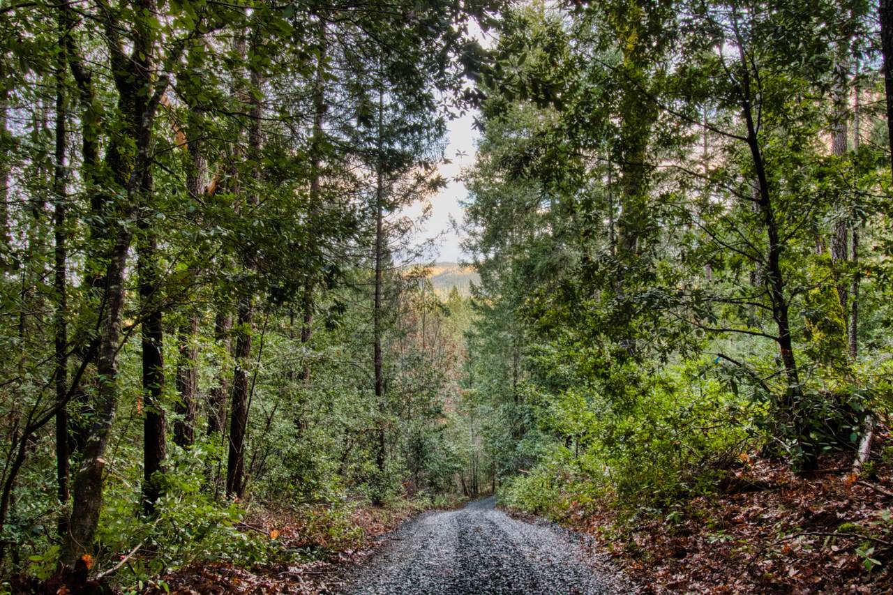 6181 Takilma Road - Photo 1