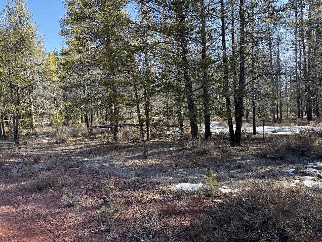 Scott View Drive - Photo 1