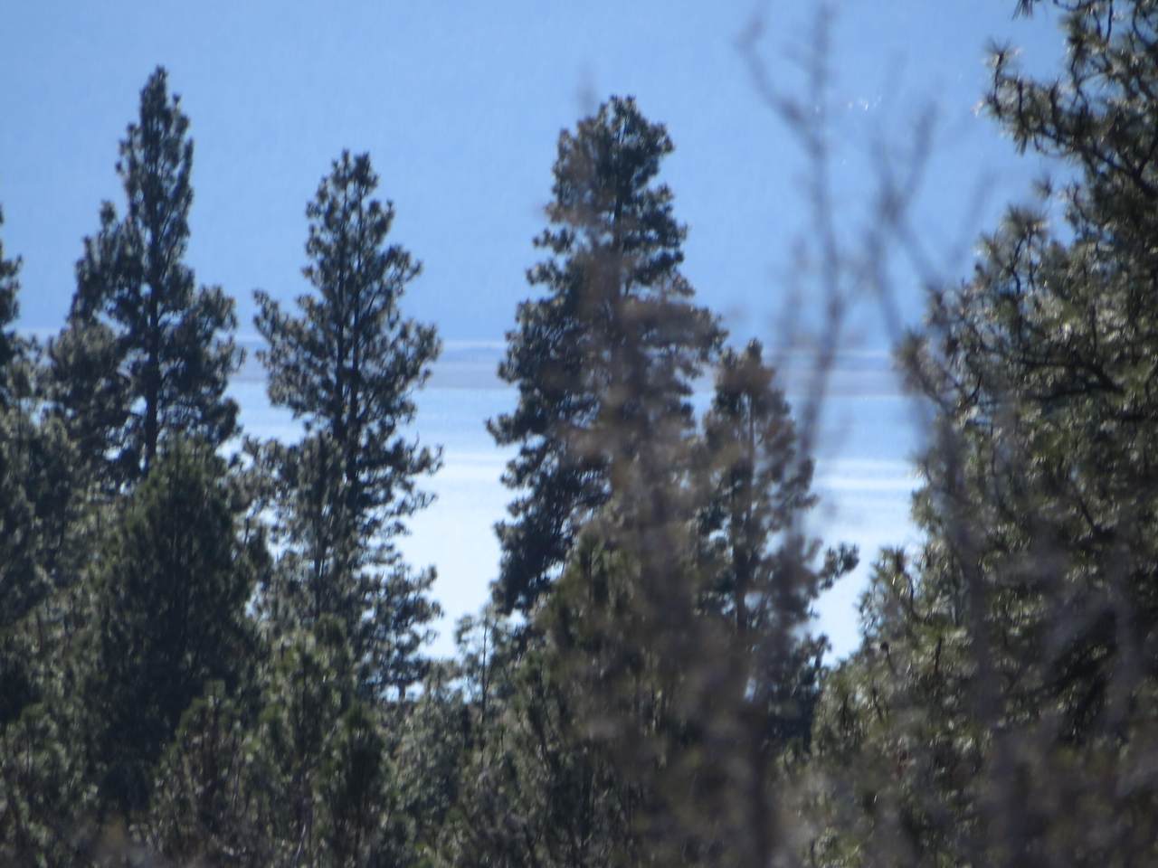 B7 L7 David Street - Photo 1