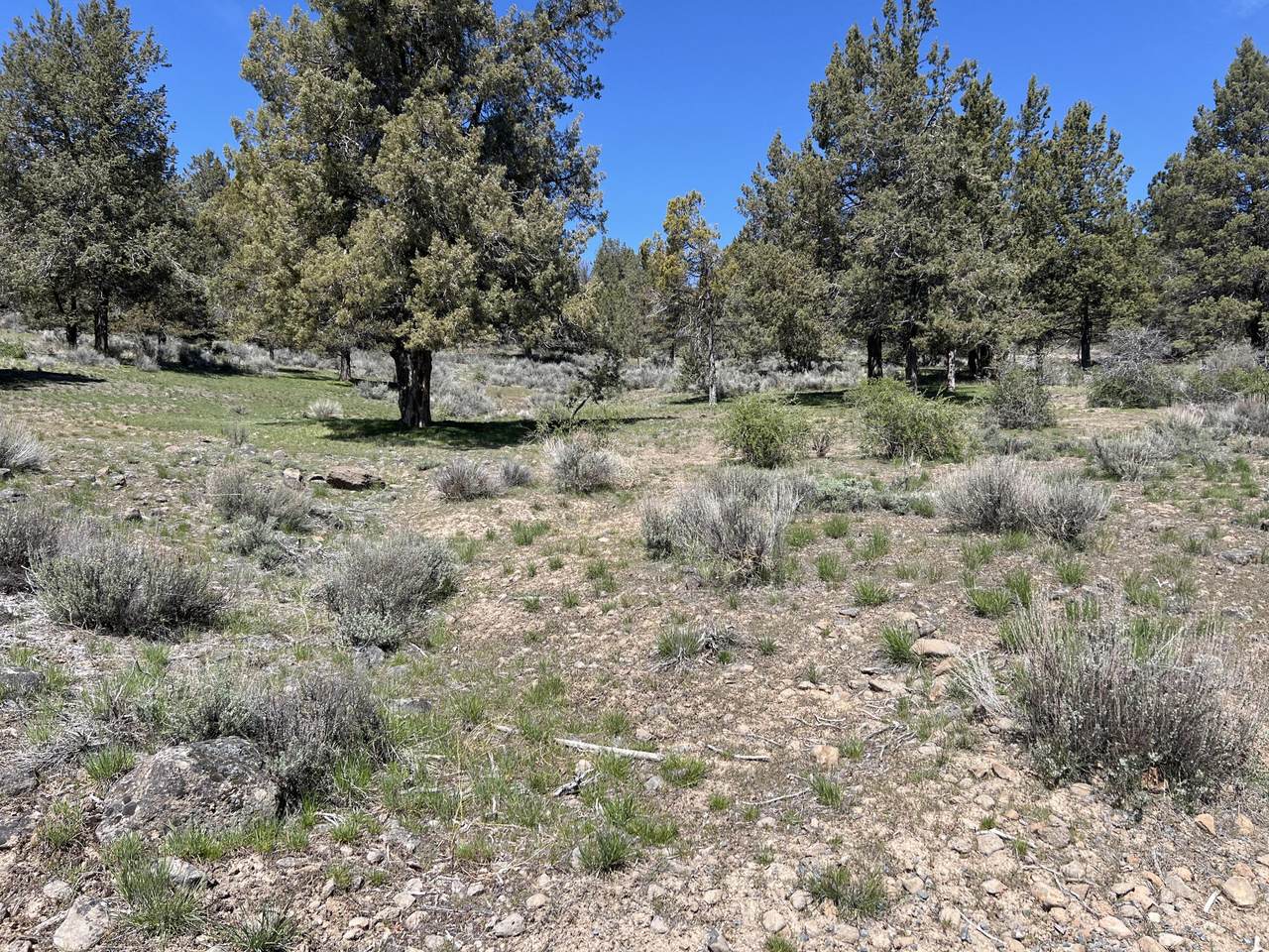 Lot 1195 Murrelet Road - Photo 1