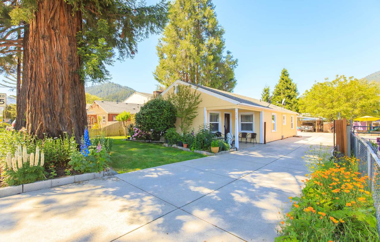 219 Pine Street - Photo 1
