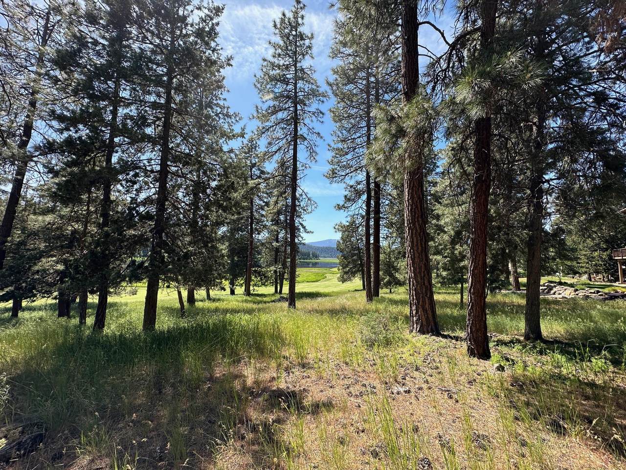  Merganser Road - Photo 1