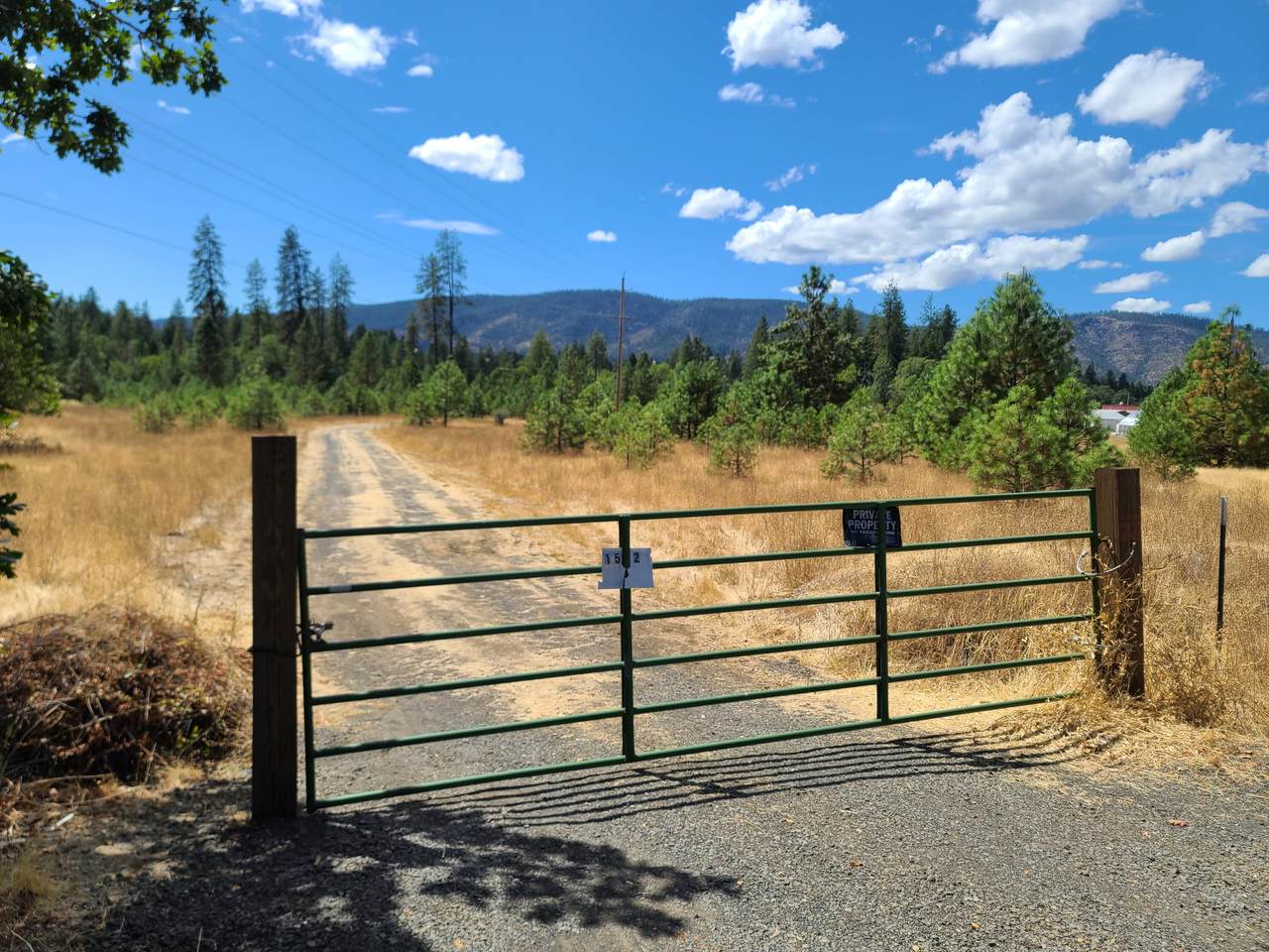 1502 Laurel Road - Photo 1