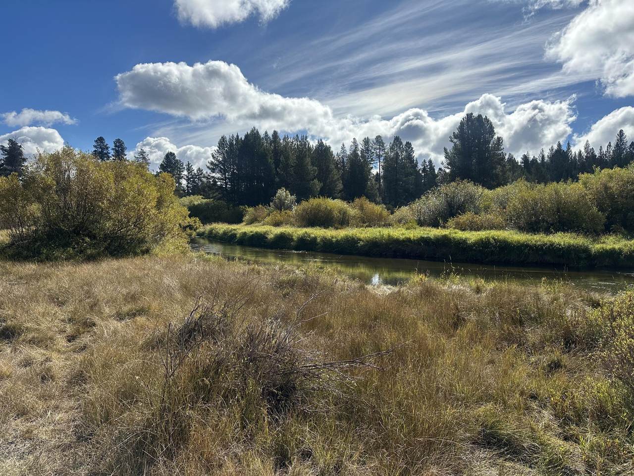 https://bt-photos.global.ssl.fastly.net/coar/1280_boomver_1_220190127-2.jpg