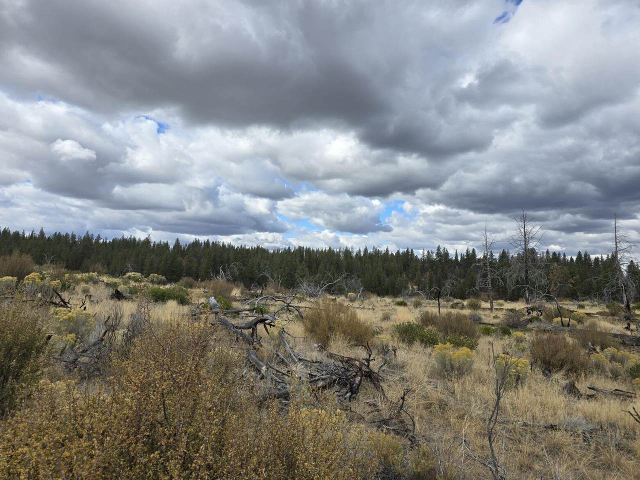 https://bt-photos.global.ssl.fastly.net/coar/1280_boomver_1_220191297-2.jpg
