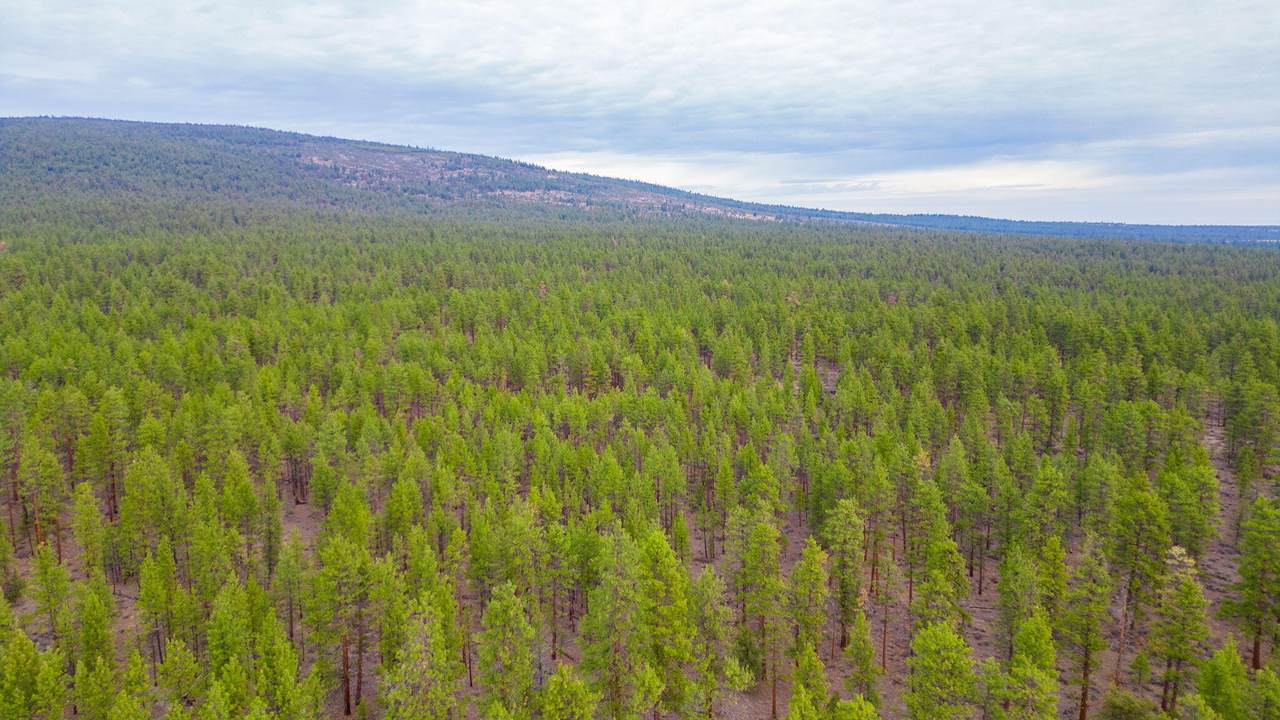 0000 Fly Lake Road - Photo 1