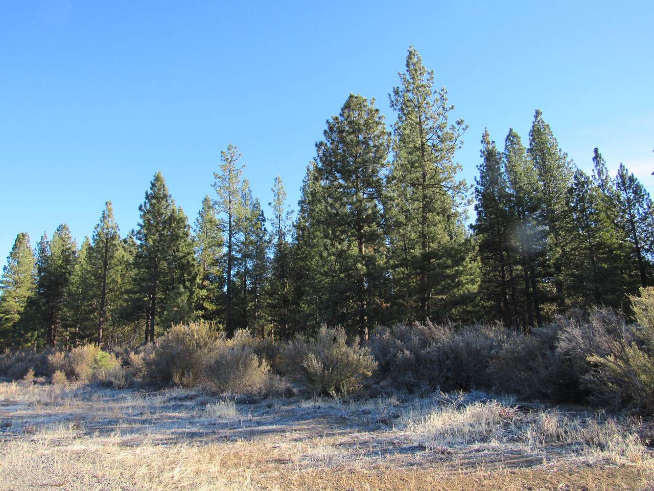0 Applegate Street - Photo 1