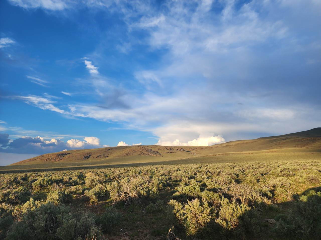 https://bt-photos.global.ssl.fastly.net/coar/1280_boomver_1_220193489-2.jpg