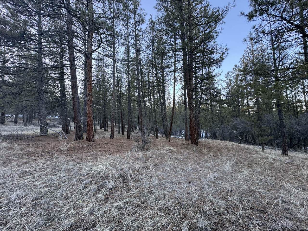  Bobcat Circle - Photo 1