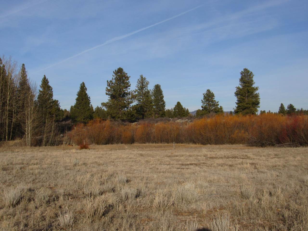 https://bt-photos.global.ssl.fastly.net/coar/1280_boomver_1_220195060-2.jpg