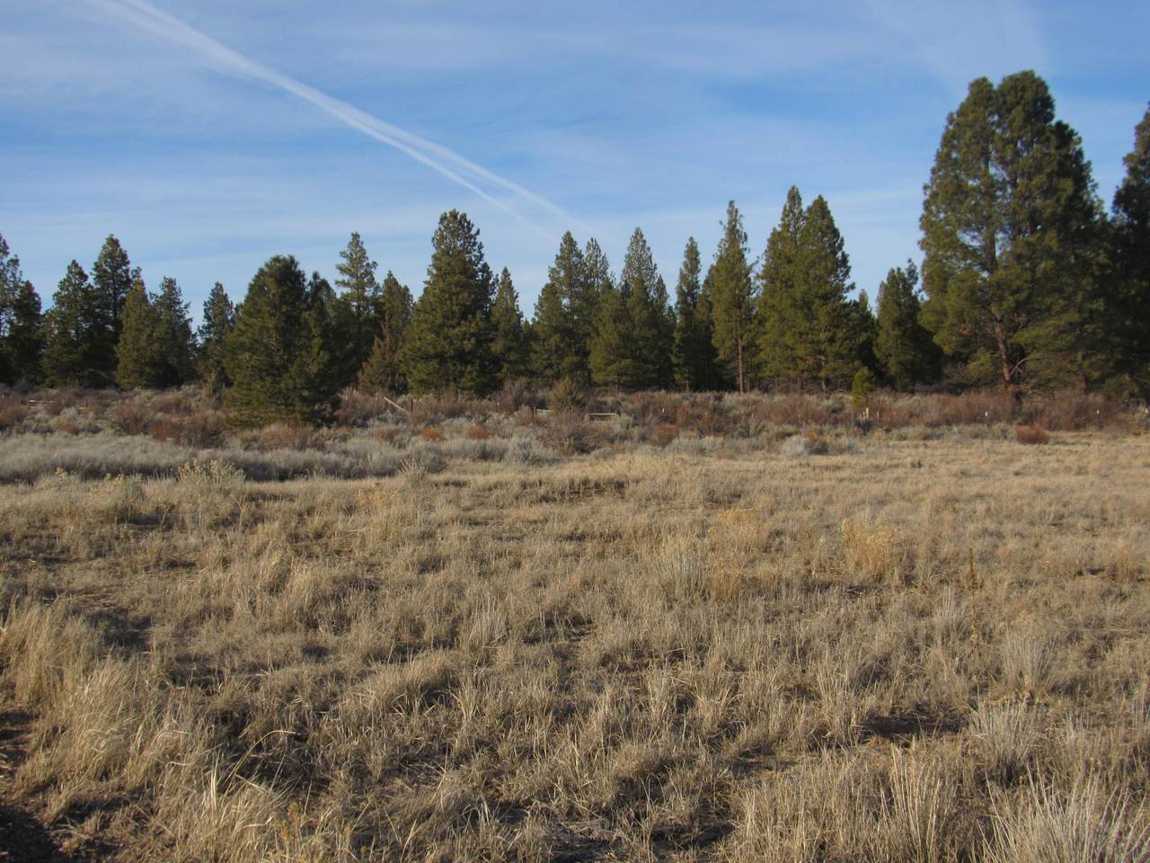 https://bt-photos.global.ssl.fastly.net/coar/1280_boomver_1_220195060-2.jpg