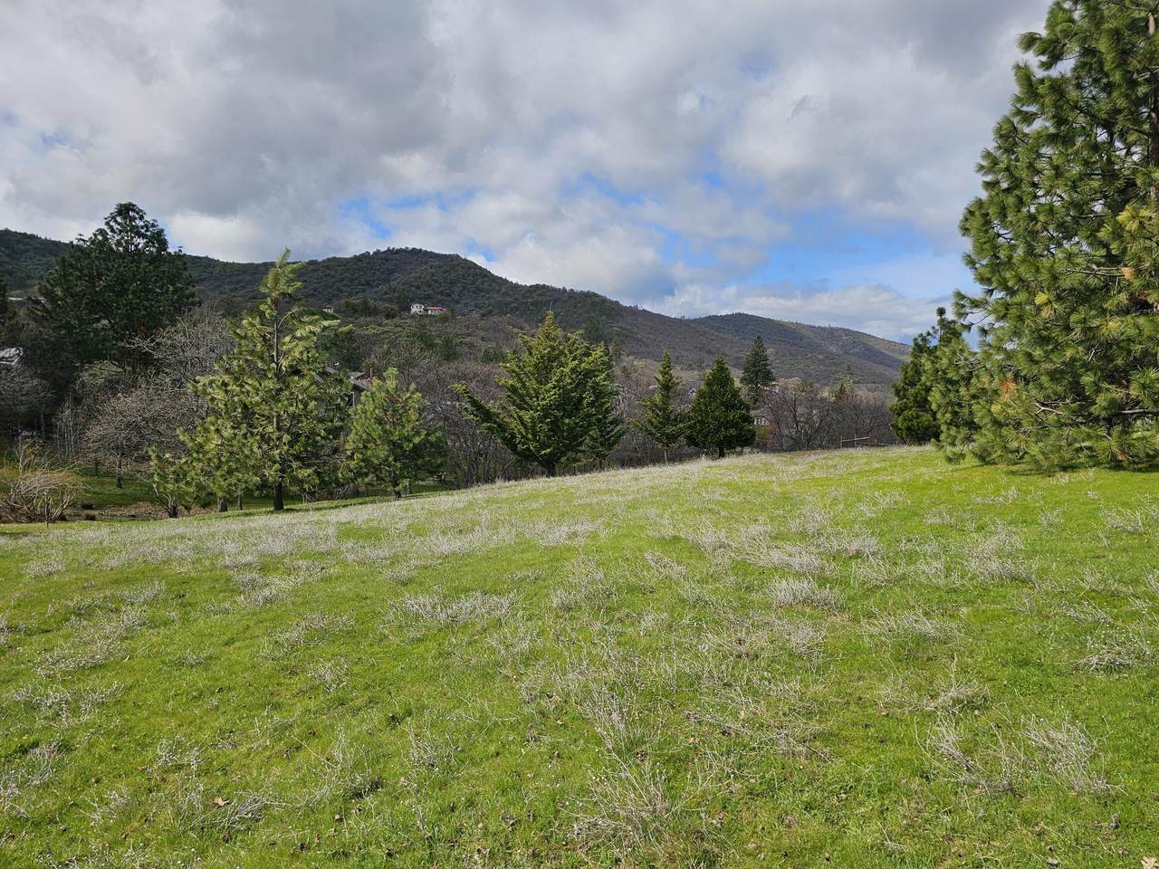483 Strawberry Lane - Photo 1