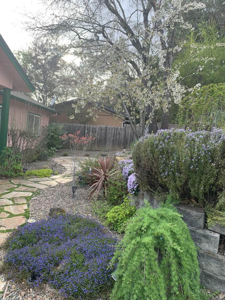 https://bt-photos.global.ssl.fastly.net/coar/1280_boomver_1_220198292-2.jpg
