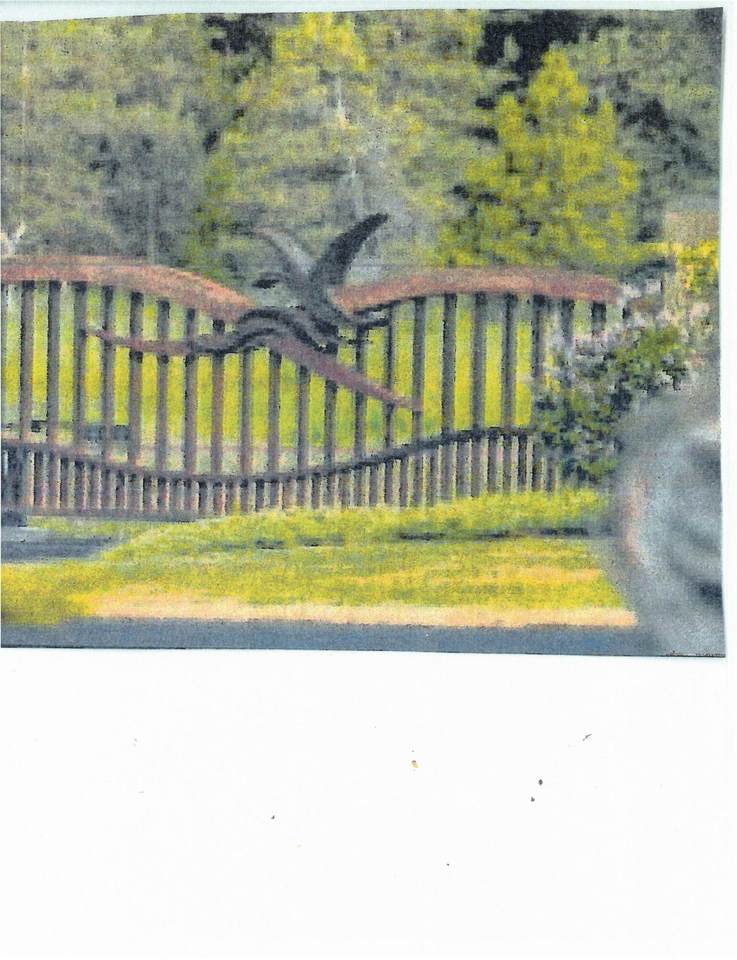  Paper Birch Way - Photo 1