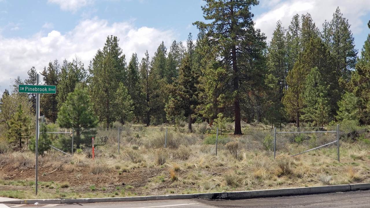  Pinebrook Boulevard - Photo 1