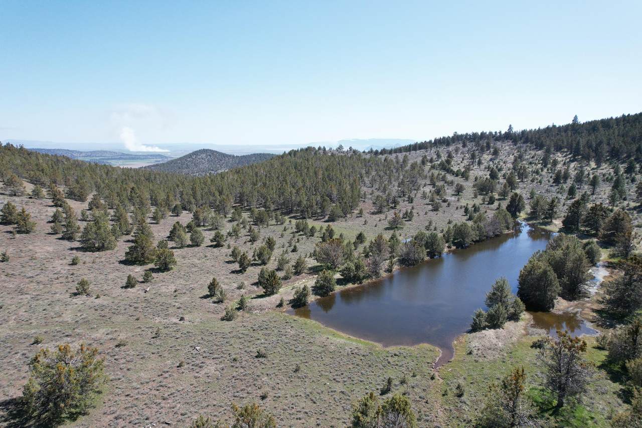 Dodds Hollow Road - Photo 1