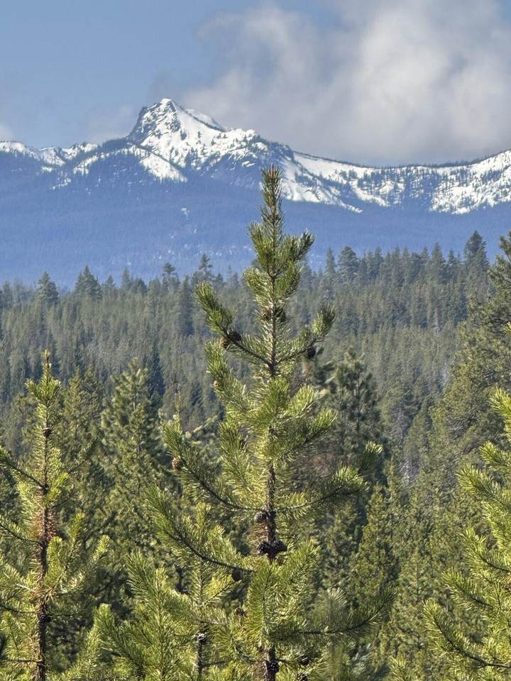  Crescent Moon Drive - Photo 1