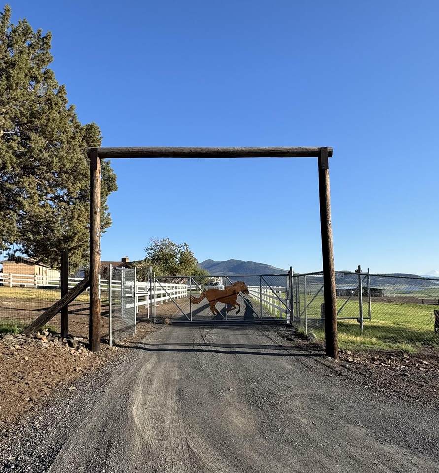 12140 Clovis Drive - Photo 1