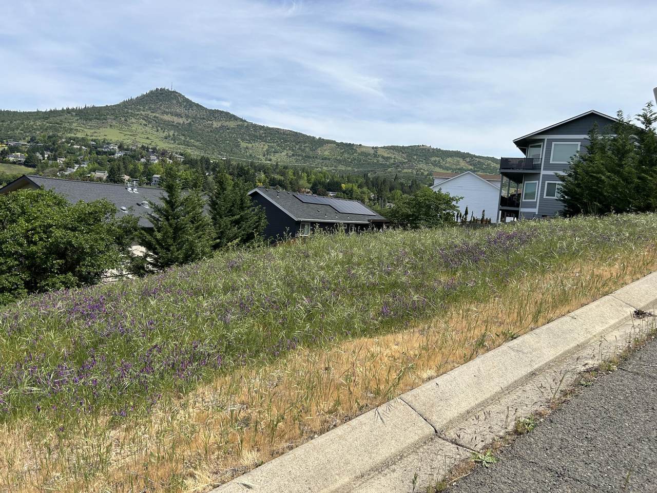 4113 Barbara Jean Way - Photo 1