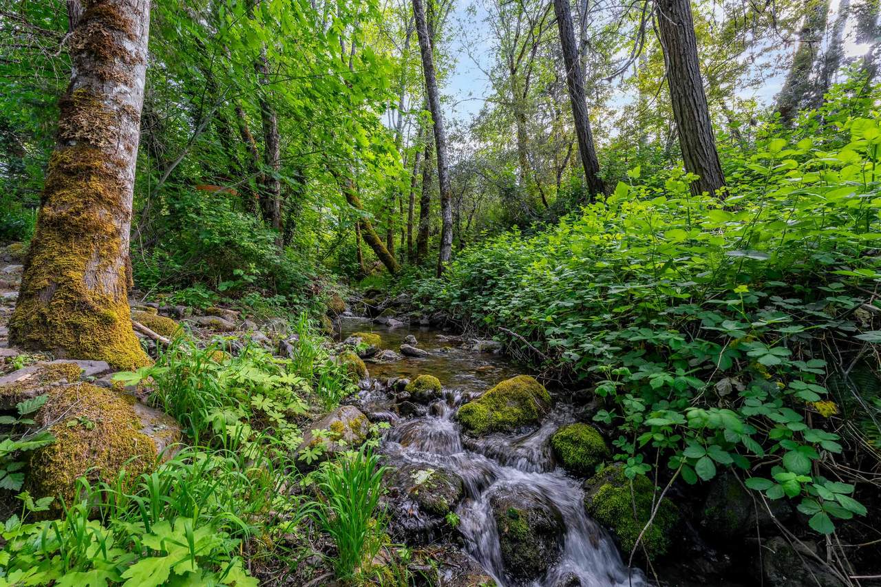 https://bt-photos.global.ssl.fastly.net/coar/1280_boomver_1_220202436-2.jpg