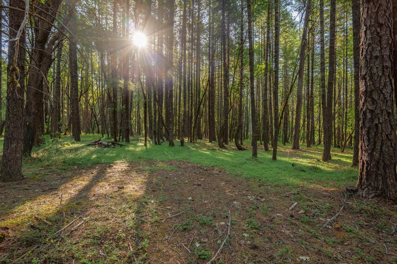 355 Firview Lane - Photo 1