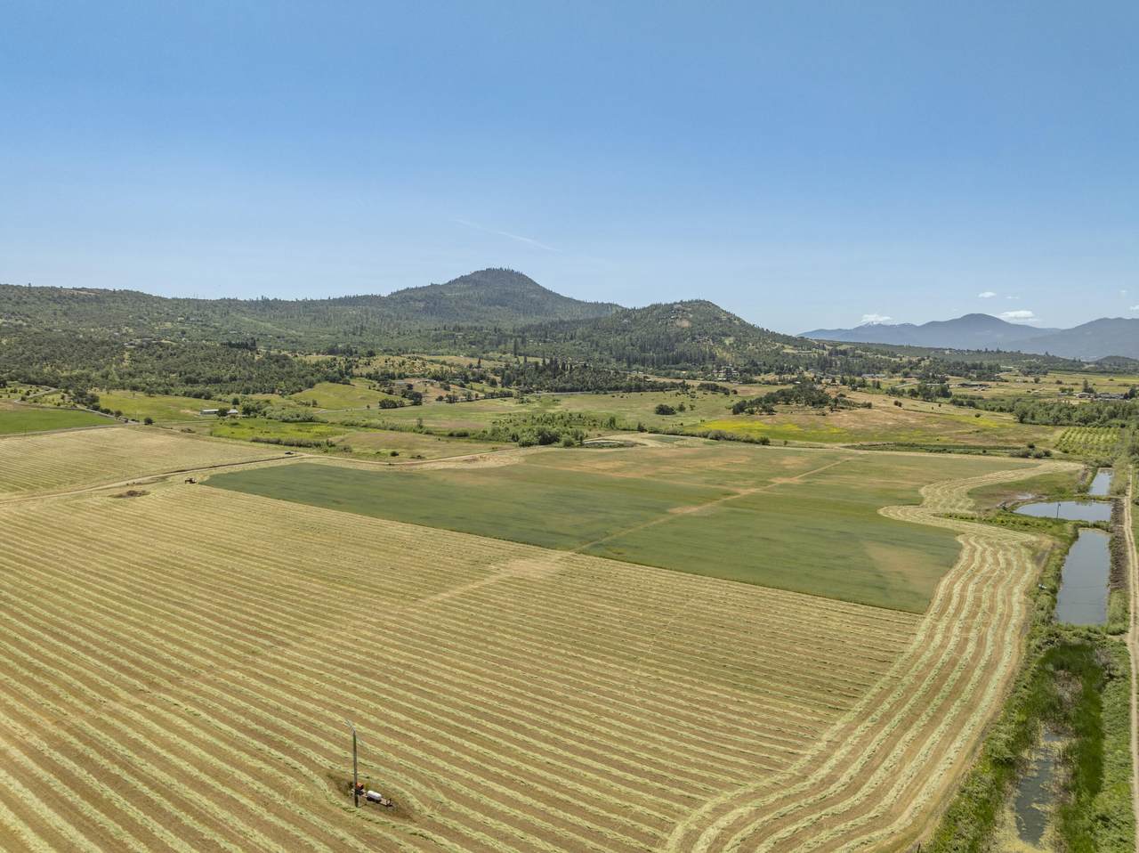 0 Foothill Road - Photo 1