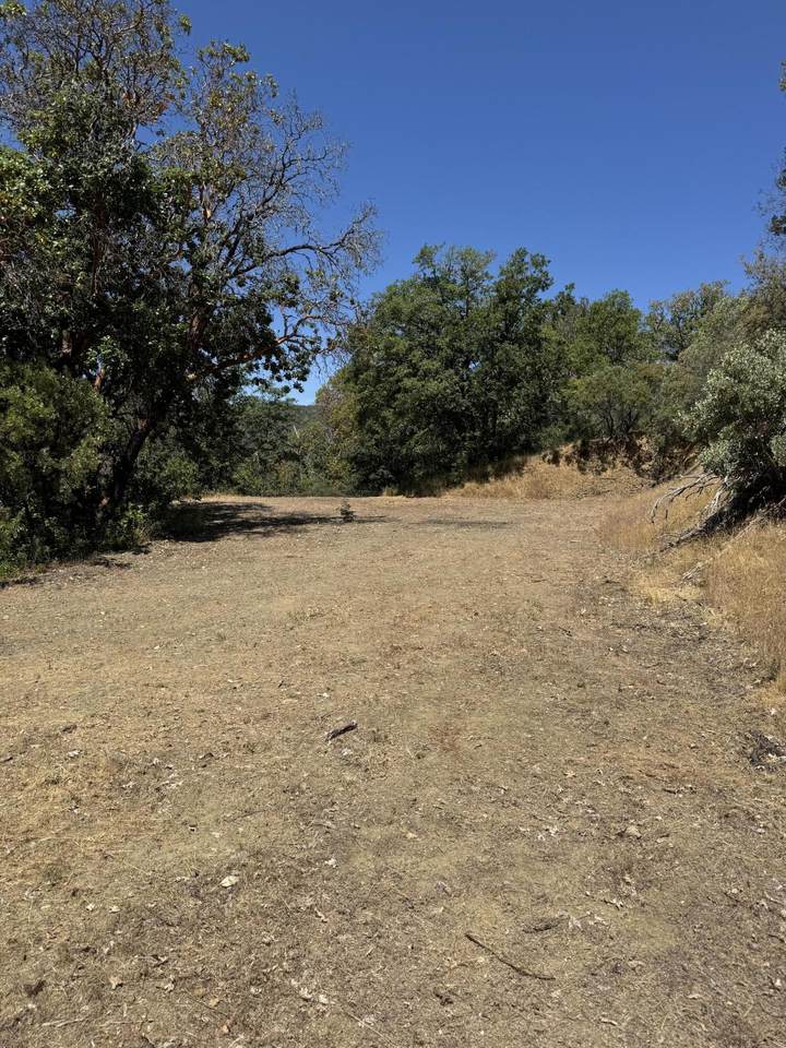 8184 Old Stage Road - Photo 1