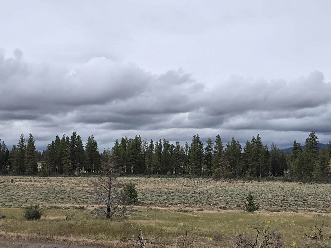https://bt-photos.global.ssl.fastly.net/coar/1280_boomver_1_220203799-2.jpg