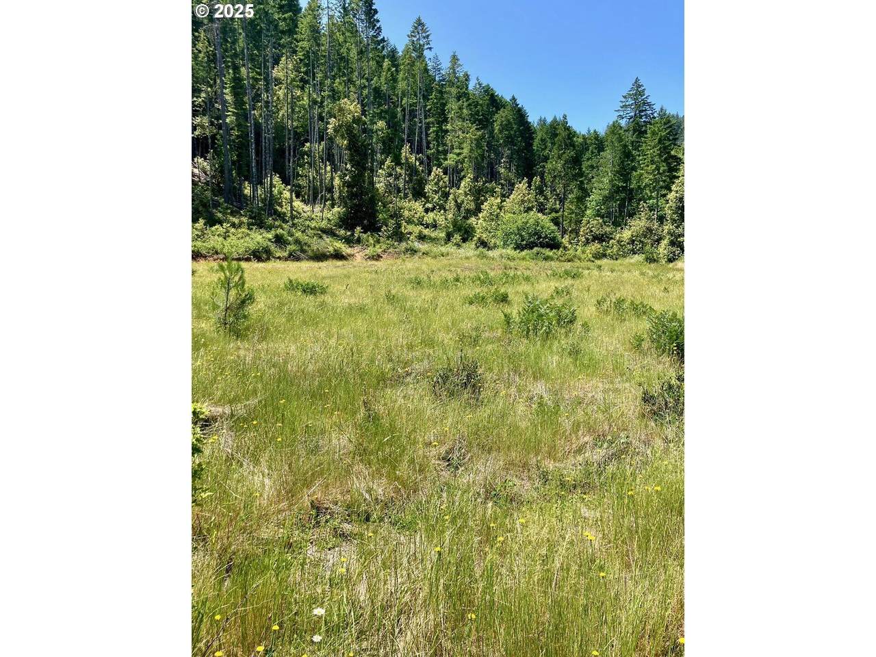 00 Redwood Highway - Photo 1