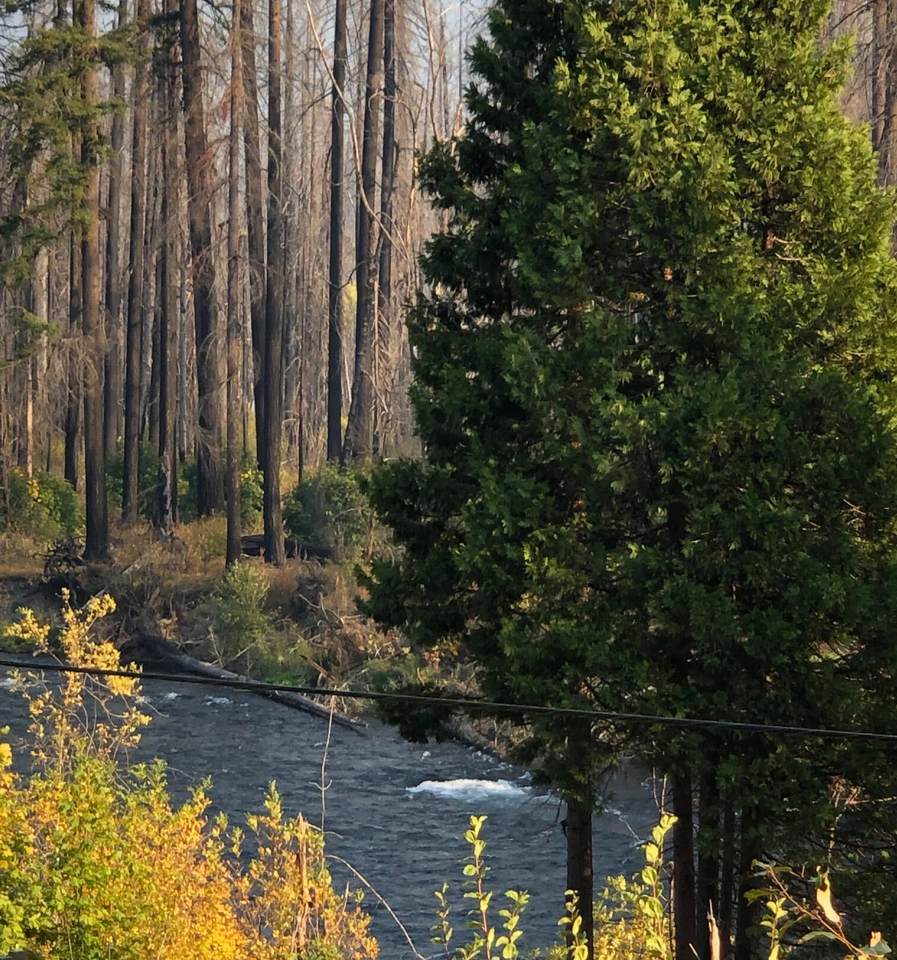 91591 Blue River Reservoir Road - Photo 1